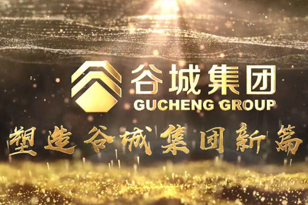 共筑新時(shí)代，不負(fù)韶華夢——谷城集團(tuán)隆重舉行2019年度榮譽(yù)表彰大會(huì)暨2020年迎春年會(huì)